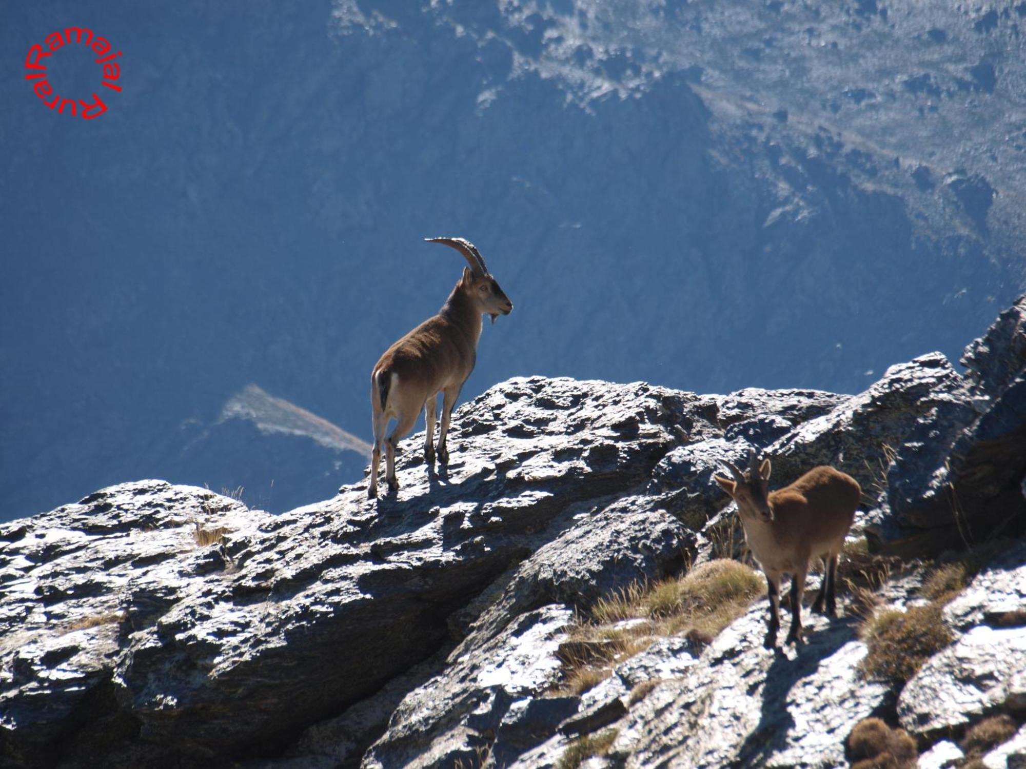 Penzion Ramajal Rural Horcajo  Exteriér fotografie