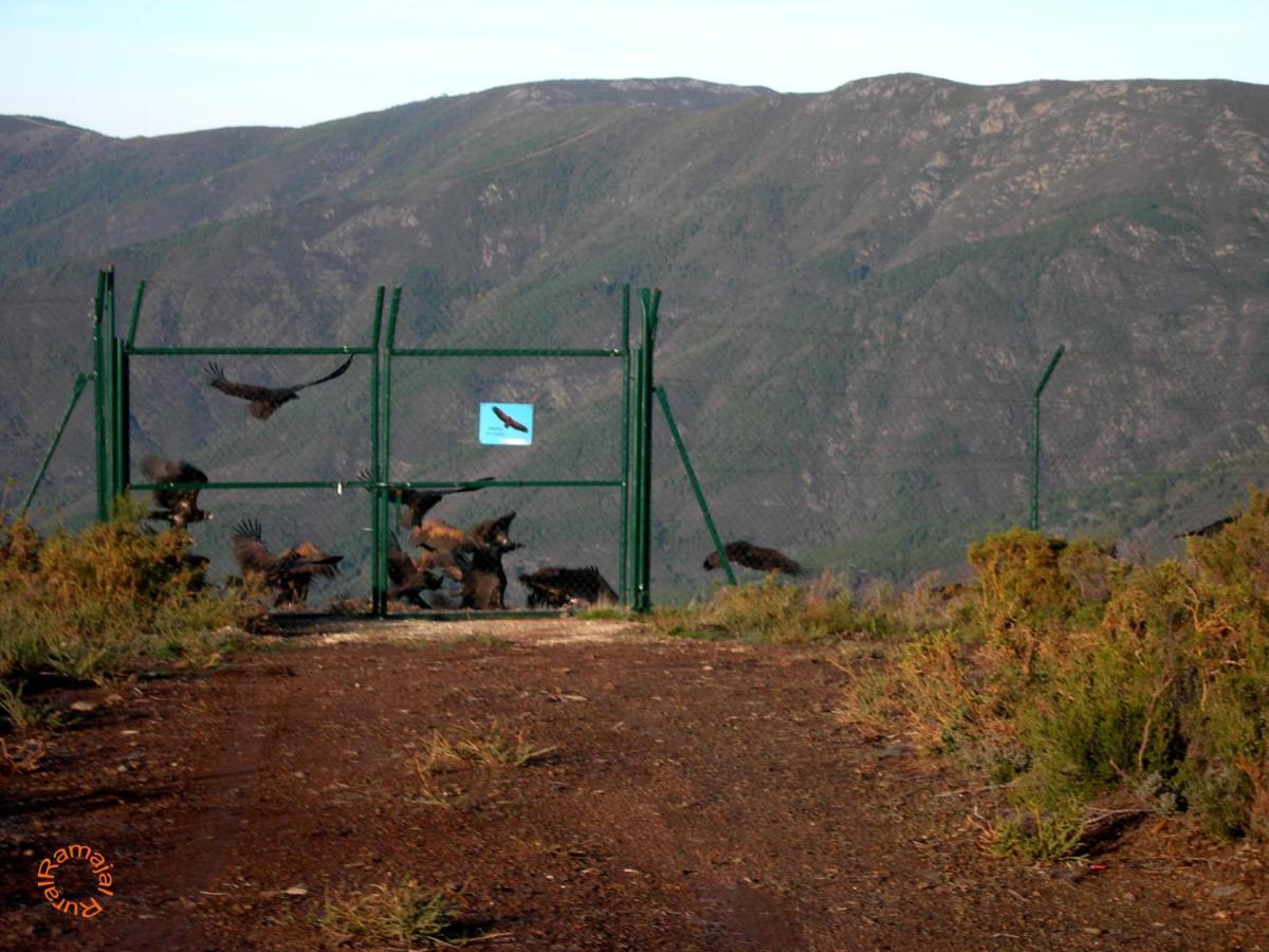 Penzion Ramajal Rural Horcajo  Exteriér fotografie